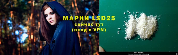 индика Михайлов