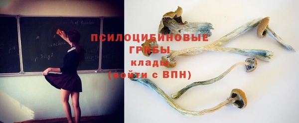 индика Михайлов