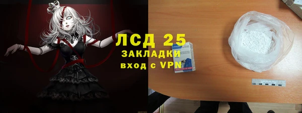индика Михайлов