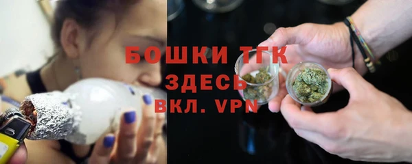 индика Михайлов