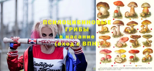 индика Михайлов