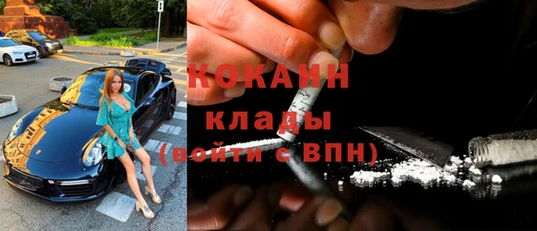 индика Михайлов