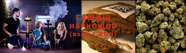 индика Михайлов