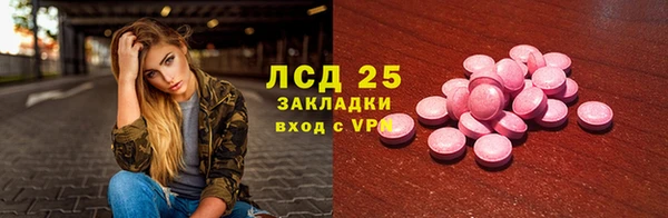 индика Михайлов