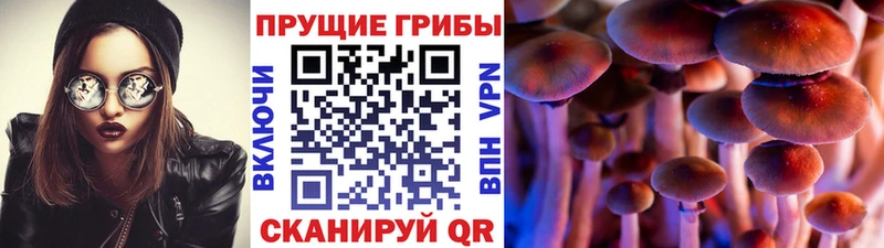 где купить наркоту  blacksprut онион  Галлюциногенные грибы Psilocybine cubensis  Нерчинск 
